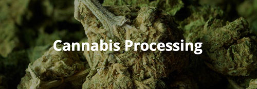 Cannabis Processing with Industrial Grinders and Size Reduction Equipment