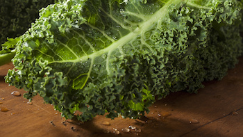 Kale food processing applications