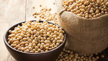 Chickpea food processing applications